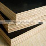 Cheap Price Black Film Faced Plywood Linyi Factory thumbnail-4