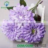 Greenflower 2016 Barberton Daisy Real Touch Chinese Herbaceous Peony Wedding Decrations Flowers thumbnail-1