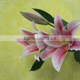China Fresh Cut Flower Lily Promotional Lili and Rose Flower thumbnail-2