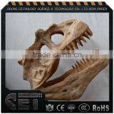 Cetnology-dinosaur Skull Dinosaur Skeleton Sculptures for Party Decoration thumbnail-1
