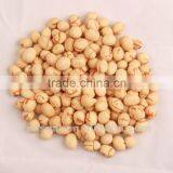 Crispy Squid Taste Coated Peanuts