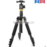 Q666 Telecopic camera tripod, Q570B clip leg hight stability aluminum tripod , SLR and video camera tripod factory direct