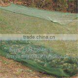 Long Lasting Insecticide Treated Square Green Adult Army Bed Canopy Mosquito Net