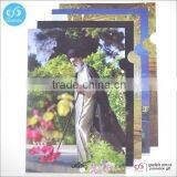 High Quality Office Stick File Stick File Folder a4 Size File Folder