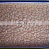 Price for High Quality Canned White Kidney Beans thumbnail-2