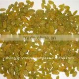 Jambo Dried green raisins