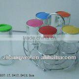 6pcs Glass Spice Jar With Metal Rack