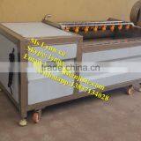 Potato Brush Peeler/industrial Potato Peeling Machine