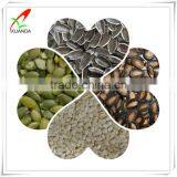 Water Melon Seed Kernels thumbnail-2