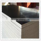 Black Film Faced Plywood Marine Plywood thumbnail-4