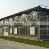 XINHE Manufacturer Supply Larger Multi-span Glass Greenhouse thumbnail-1