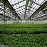 HDPE Virgin Agricultural Use Green Sun Shade Net thumbnail-1