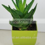 chinese flower vase,plastic plant pot,square flower pot