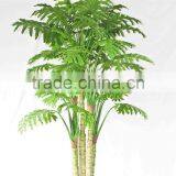Artificial Phildendron Sellomn Bonsai Plants thumbnail-1