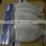 Interleaved Pacific Squid Tube (Todarodes Pacificus) thumbnail-6