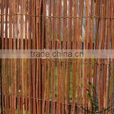 Black Fern Fence thumbnail-4