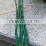 Plastic Coated Bamboo Canes thumbnail-2