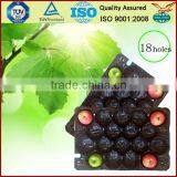 Australia Market Popular Wholesale Stone Fruit Packaging Food Grade Plastic Tray Liner thumbnail-2