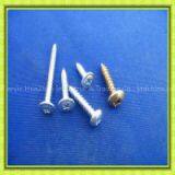 Small Oval Head Philips Self Tapping Screw thumbnail-3