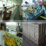 Yiwu Bobao Stationery Co., Ltd. company overview - view 3 thumbnail