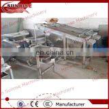 Sunrise Factory Price Apricot Processing Line thumbnail-3