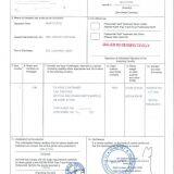 Carrying Trade thumbnail-3