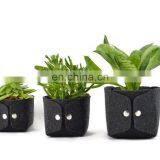 Factory OEM Product Wool Felt Grow Bag thumbnail-1