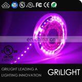 High Quality High Cri 80 Smd 5050 Rgb ul Approved Led Strip Lighting thumbnail-6
