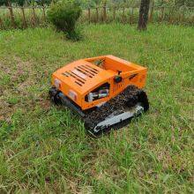 best Remote controlled lawn mower buy online shopping