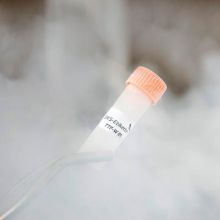 Laboratories Cryo Labels for Use in Liquid Nitrogen