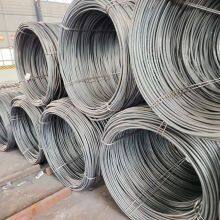 Electromagnetic Iron Wire Rod for Electric Motor Lamination Production thumbnail-3