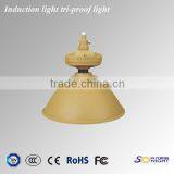120w Induction Lamps Tri-proof Light
