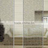 Coated Glass/ice Carving Titanium Glass for Decoration thumbnail-1