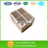 Bee Hive for Beekeeping thumbnail-1