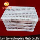 535x365x310mm Plastic Fruit Basket for Transportation thumbnail-4