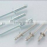 Blind Rivet/Steel Rivet/Aluminium Rivet