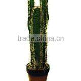 Artificial Cactus
