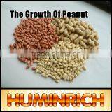 FAQ-The Growth Of Peanut thumbnail-4