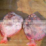 MOONFISH (OPAH) WHOLE ROUND (SEAFROZEN) thumbnail-1