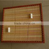 40941104 AF25731 Truck Engine Air Filter Made in China