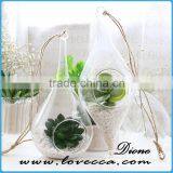 Plant Hanging Teardrop Shaped Glass Vase for Sale thumbnail-4