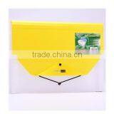 A4/FC Plastic Product Expanding Wallet, pp File Folder With 13pockets,high Quality Office Statonery thumbnail-4