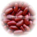 British Dark Red Beans thumbnail-1