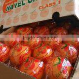 2015 Fresh Navel Orange From Jiangxi on Sell thumbnail-6