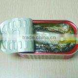 canned sardine fish