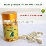 Natural 99%L-dopa Mucuna Pruriens/velvet Bean Capsule for Treat Premature Ejaculation