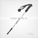 Rattan Cane thumbnail-1