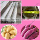 Fruit and Vegetable Cleaning Brush thumbnail-1