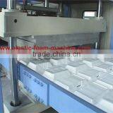 Full-automatic Disposabe Lunch Box and Ceiling Vacuum Forming Cutting and Stacking Machine