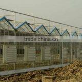 Commercial Greenhouse for Agriculture thumbnail-4